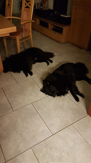 20190419_042943